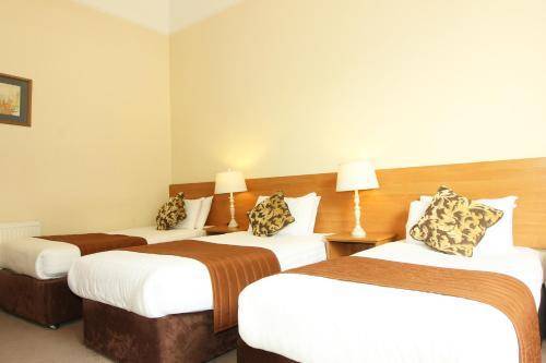 Castle Hotel, Dublin