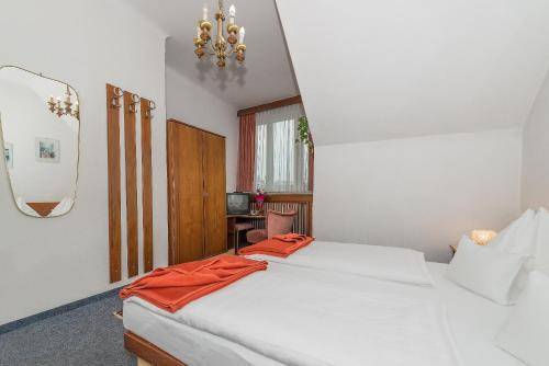 Pension Dr. Geissler, Vienna