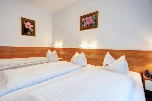 Hotel Antares, Munich