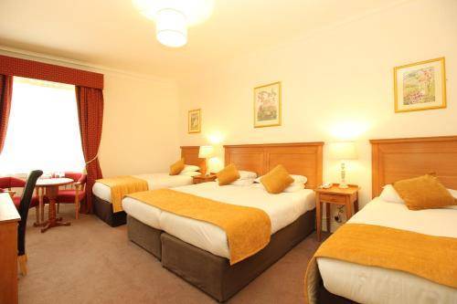 Castle Hotel, Dublin