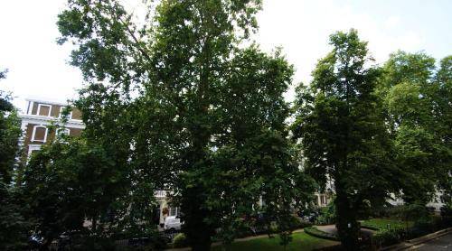 Abbey Court Hotel - Hyde Park, London