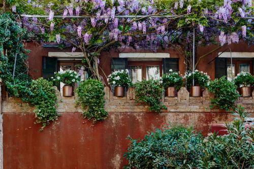 Locanda Fiorita, Venice