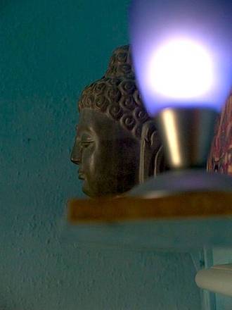 Hemp Hotel, Amsterdam